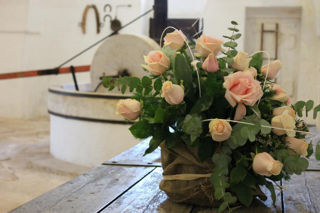 Masseria Gianecchia Чистернино Экстерьер фото