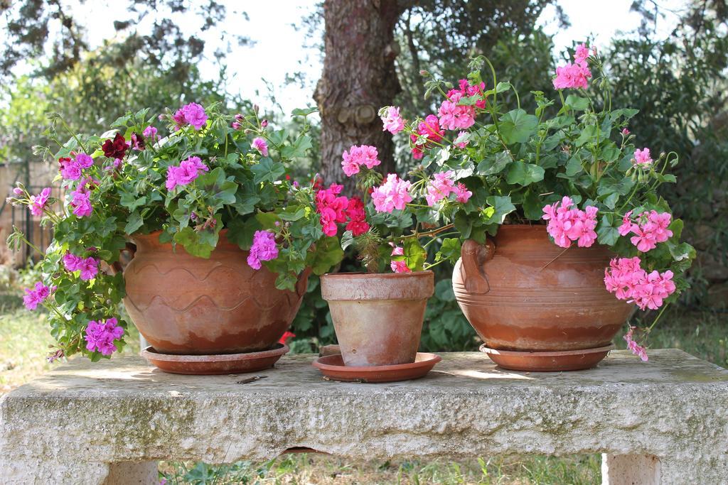 Masseria Gianecchia Чистернино Экстерьер фото