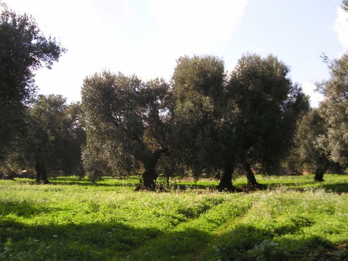 Masseria Gianecchia Чистернино Экстерьер фото